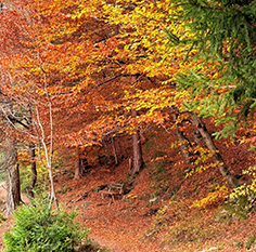 Coaching on Tour nach Osttirol: Fr. A.W.